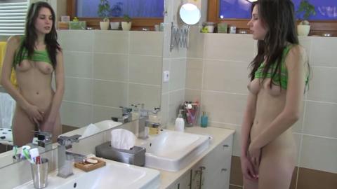 33637