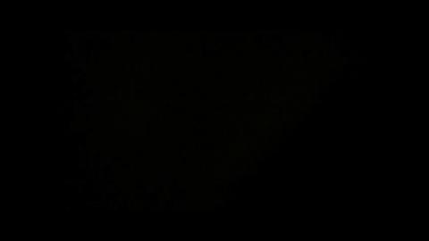 18033