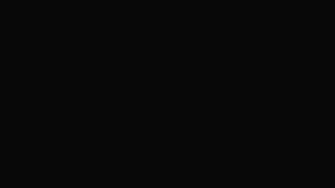 44447