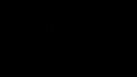 33453